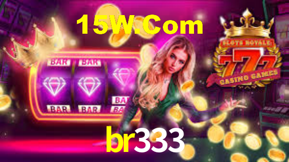 br333 App Interface