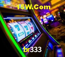 Security Systems br333